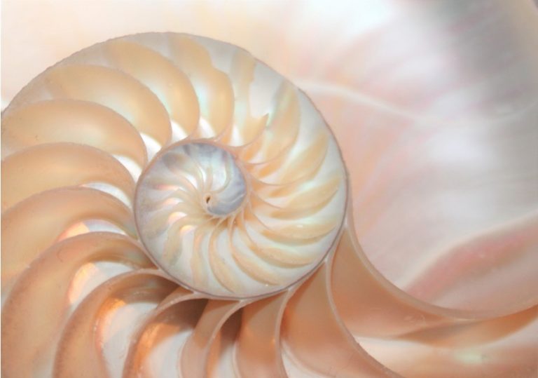 What Is So Sacred About The Number 108? – Himalayan Yoga Institute